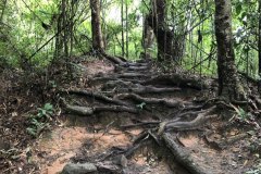 _Doi Suthep Mountain-7