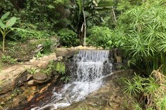 _Doi Suthep Mountain-9