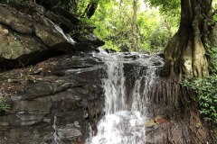 _Doi Suthep Mountain-6