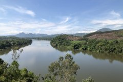 IMG_3517